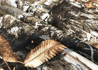 옥외 재킷 - 겨울 숲을 위한 180GSM 폴리에스테 우단 직물 공장 종이 인쇄
