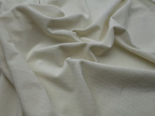 옷 을 위한 마이크로 탄력성 벨벳 직물 의 편안 한 사용 과 내구성 을 경험 해 보십시오